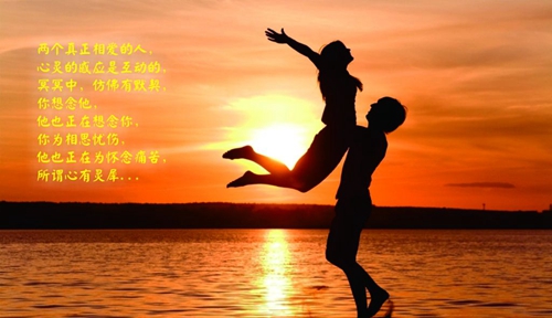 馬叉蟲是什么意思