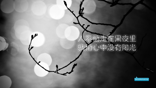 飯圈tour一下指什么