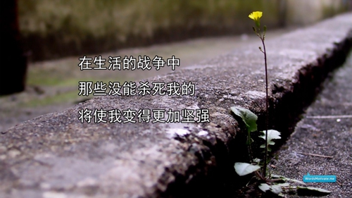 畢業(yè)晚會上的祝福語