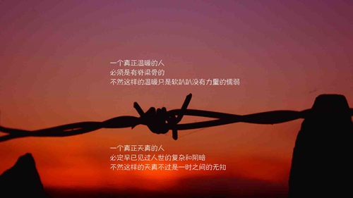 祭殘惜什么意思