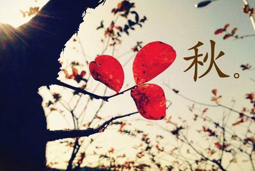 難兄難弟的好詞好句三年級