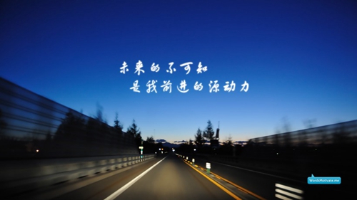 有關努力的情人節(jié)情話