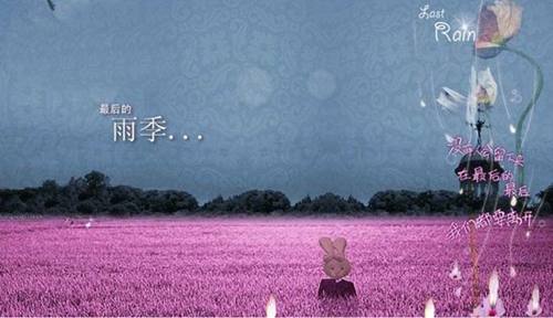 表白的感人情話