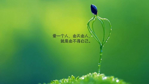 帶萬的悲傷句子