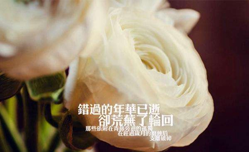初中生女生網(wǎng)名大全（精選40組）