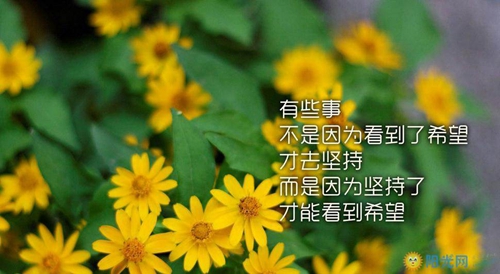 古裝帥哥撩妹情話