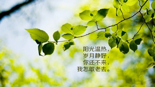 向最好的朋友表白（推薦25條）