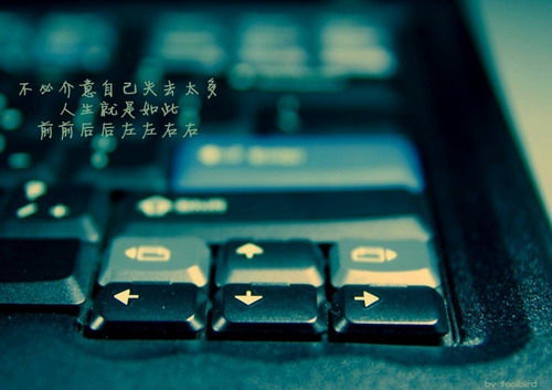 算你狠歌詞情話短句
