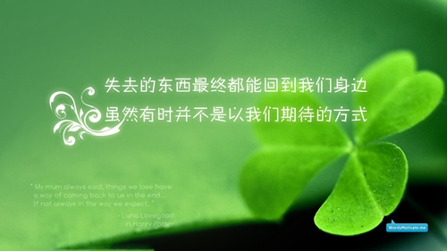 馬甲長款搭配圖案大全