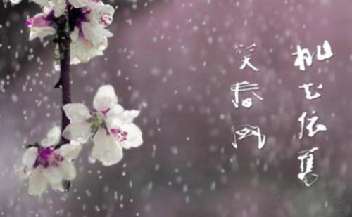 霸氣的句子女生