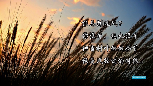 關(guān)于月亮彎彎的情話