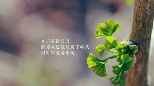 表達情感說說大全