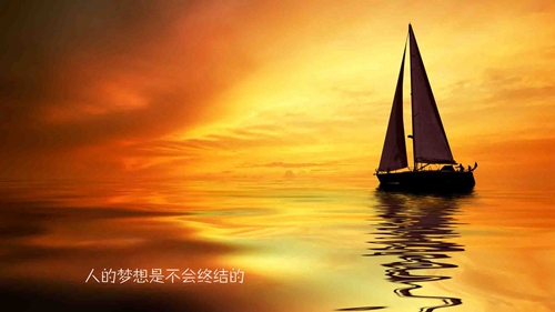 我想當你的鞋是什么意思（精選25句）
